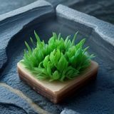 资深编辑肖像照，表情沉稳，深色背景衬托专业感